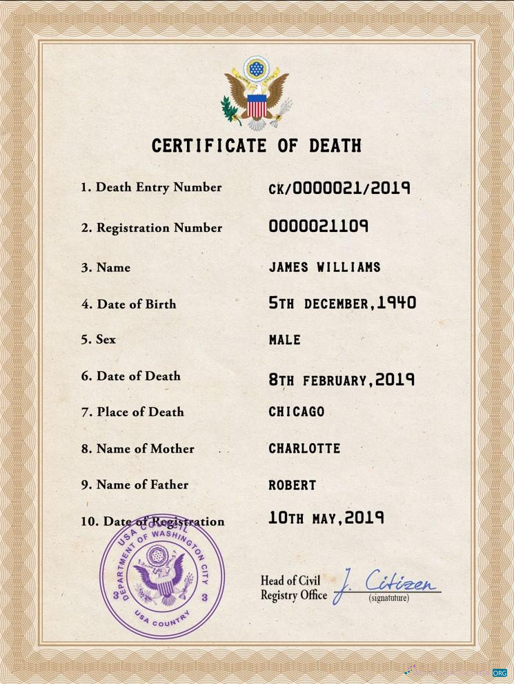 Download USA vital record death certificate PSD template Photoshop template